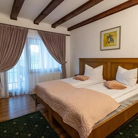 Pensiunea Sonnenhof Sighisoara