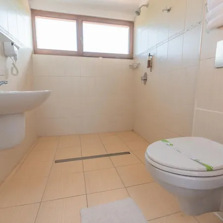Guest house Pensiunea Sonnenhof Sighisoara